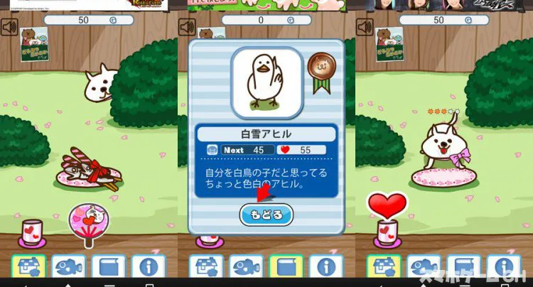 ネコがきた