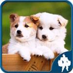 犬のジグソーパズルアイコン