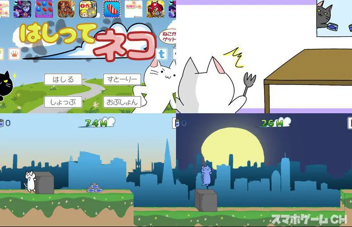 はしってネコ