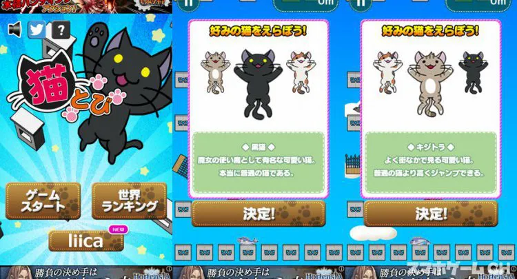 猫とび