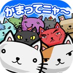 ねこばたけアイコン