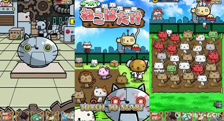 ねこばたけ