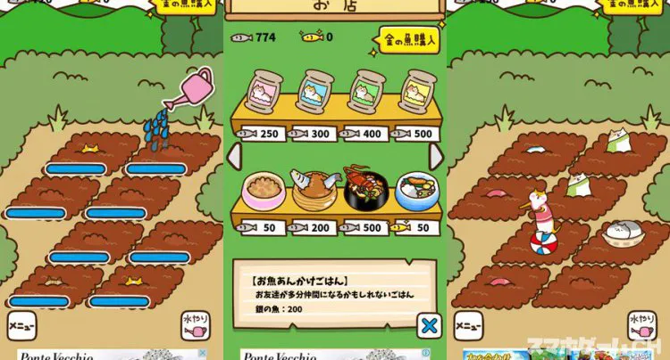 ねこ畑