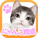 てのひらニャンコアイコン