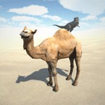 鳥取砂丘シュミレーターアイコン