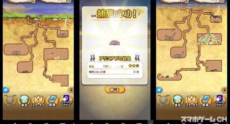 アリの巣コロニー