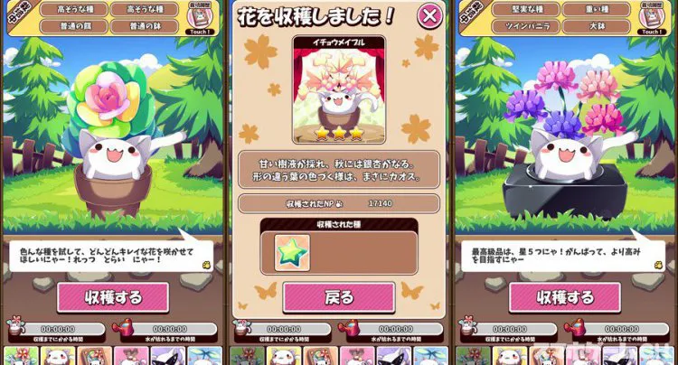 ねこばち!~ねこばちに花を咲かせよう~