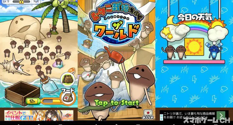 なめこ栽培キット ザ・ワールド