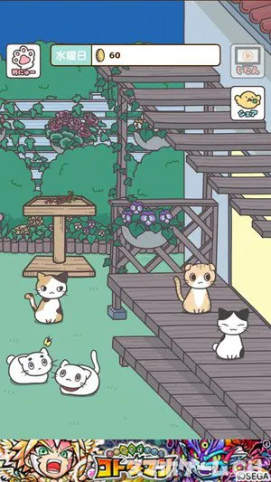 飼い猫ぐらしをじっくり遊んで徹底レビュー！ - スマホゲームCH