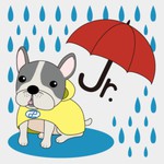 どしゃブル Jr.アイコン