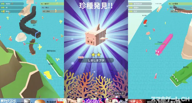 どうぶつの海オンライン