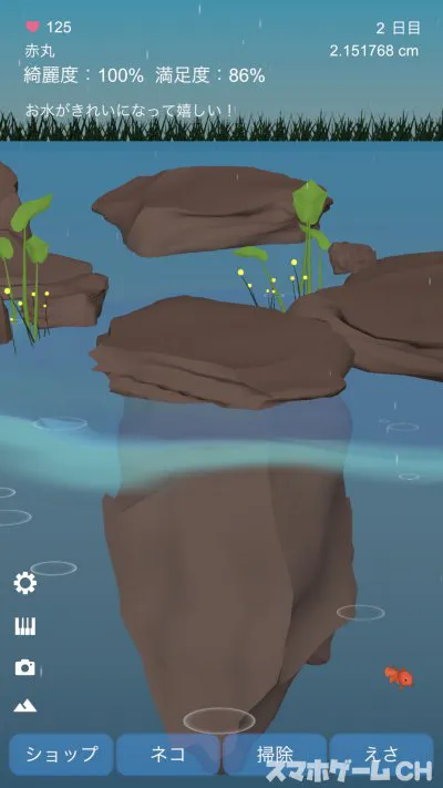 雨降る池の金魚育成ゲームをじっくり遊んで徹底レビュー スマホゲームch