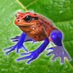 カエルといっしょアイコン