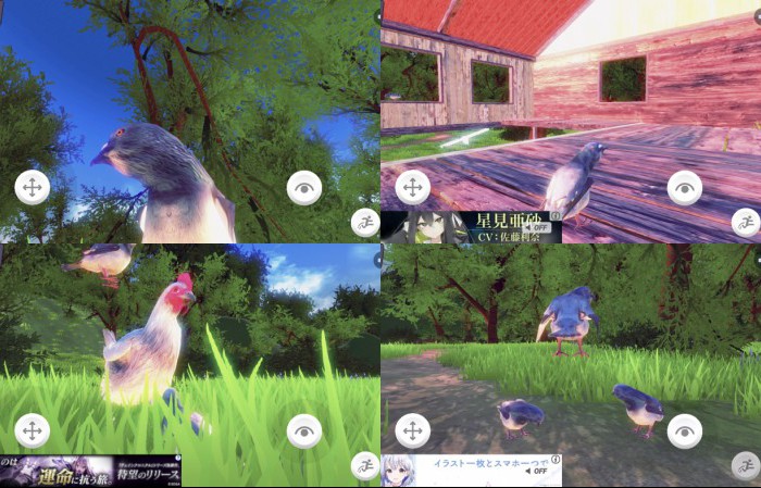 ハトバース｜鳩のメタバース