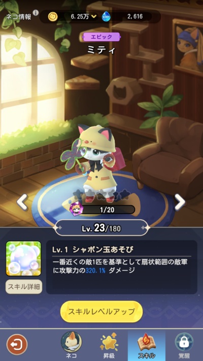 にゃん王国_5