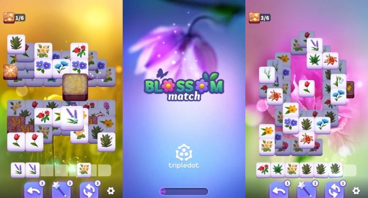 ブロッサムマッチ